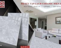 GẠCH LÁT NỀN 60X60 NICE 0366-1016