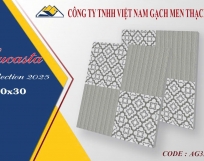GẠCH LÁT NỀN 30X30  AG3303