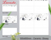 GẠCH ỐP TƯỜNG 30X60 A3600