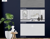 GẠCH ỐP TƯỜNG 30X60 Ý MỸ F36009