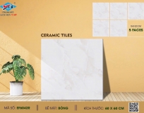 GẠCH LÁT NỀN 60X60  EF6042R