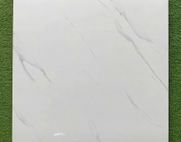 GẠCH LÁT NỀN 60X60 VG6819