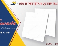 GẠCH LÓT NỀN 50X50 VICERA  A5006
