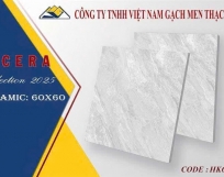 GẠCH LÁT NỀN  60X60 VICERA HK6964