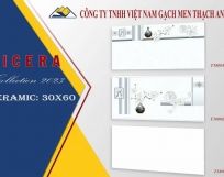 Gạch ốp tường  Vicera 30x60 T3800
