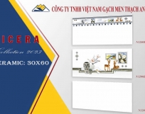 GẠCH ỐP TƯỜNG 30X60 N3200