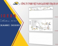 GẠCH ỐP TƯỜNG 30X60  N3211