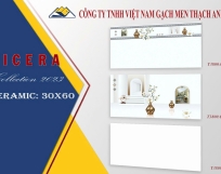 GẠCH ỐP TƯỜNG 30X60 T3800