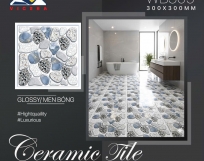 Gạch lát nền 30x30 - WB309
