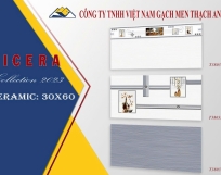 ỐP TƯỜNG 30X60 T3803
