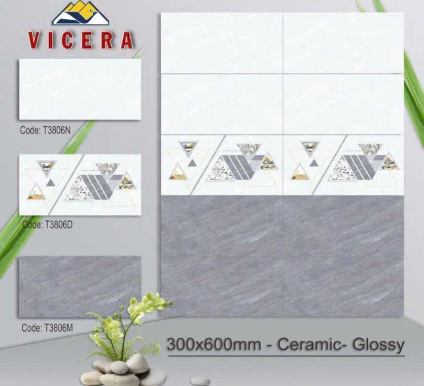 GẠCH ỐP TƯỜNG 30X60 T3806