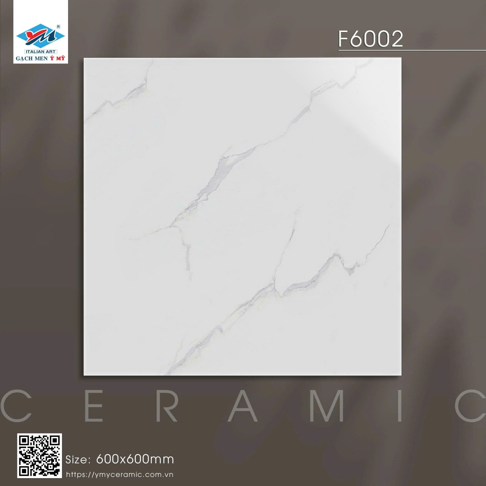 GẠCH  LÓT NỀN 60X60 Ý MỸ F6002