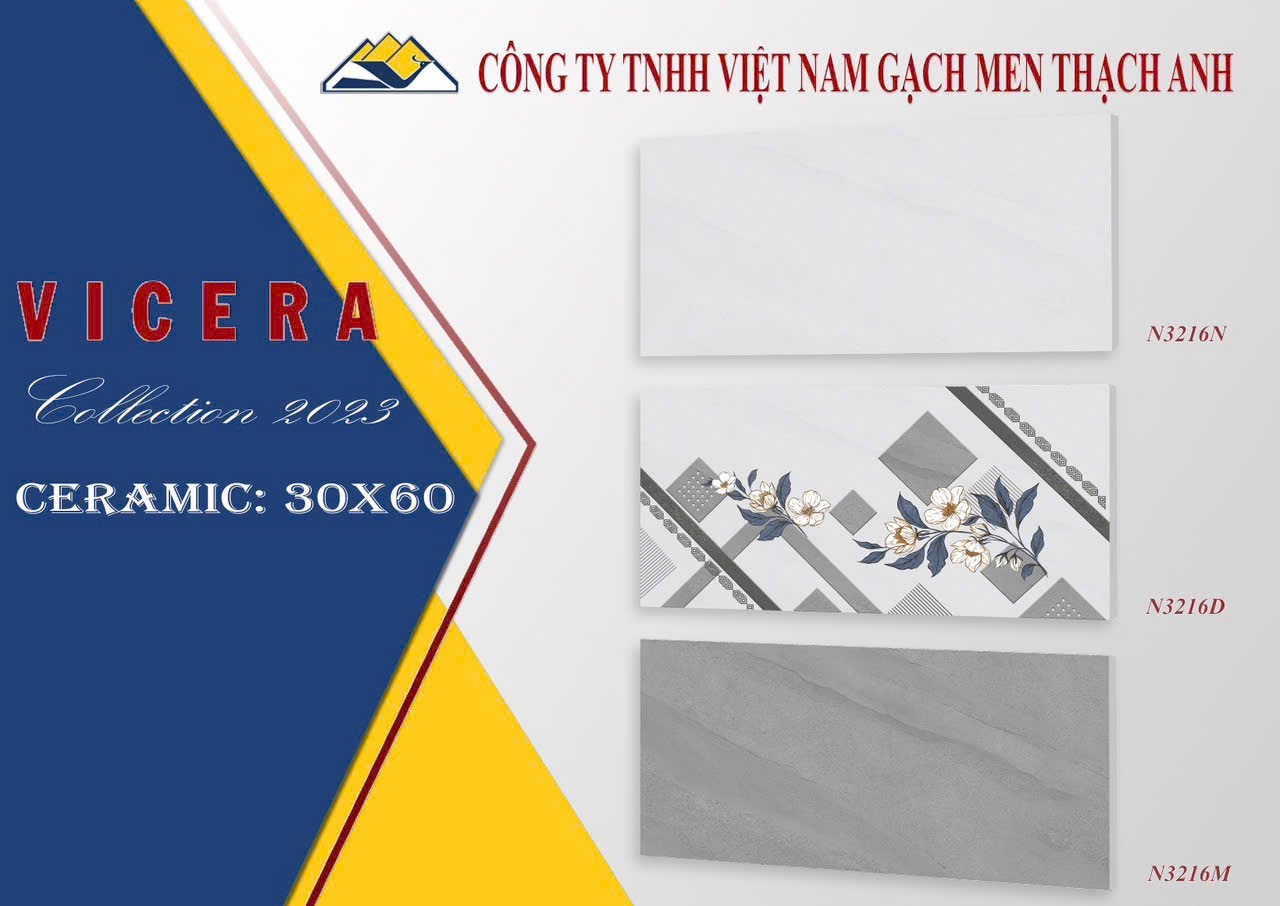 Gạch ốp tường 30x60 N3216N