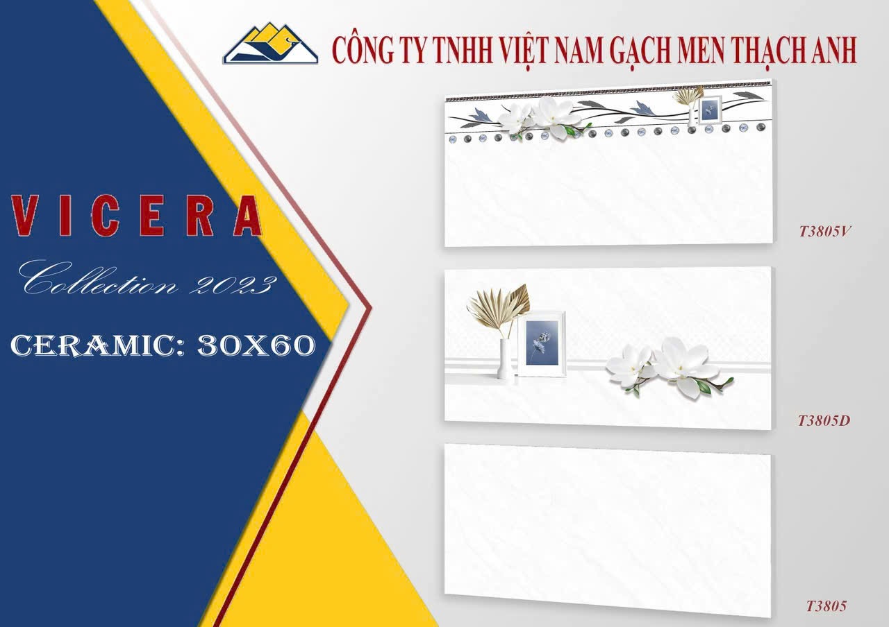 Gạch ốp tường 30x60 T3805