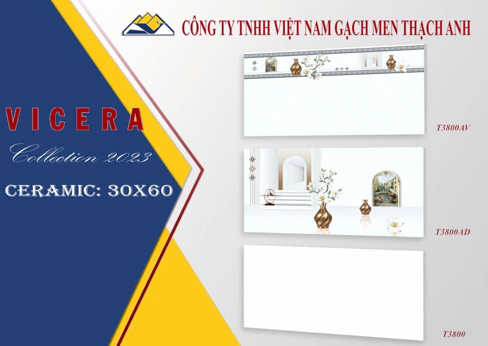 GẠCH ỐP TƯỜNG 30X60 T3800